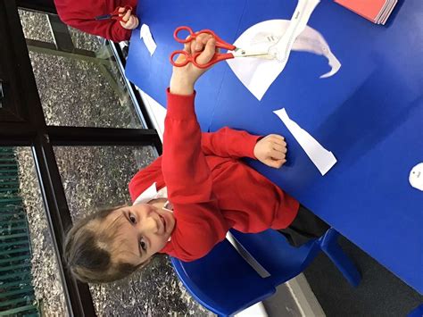 Year 3 – Animals, including Humans – Skeletons | St Teresa's Catholic Primary School