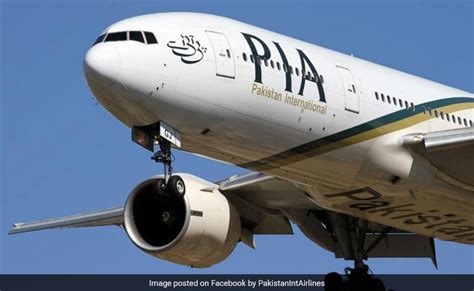 "Thank You, PIA": Pakistan Airlines Air Hostess Flies To Canada, Leaves ...