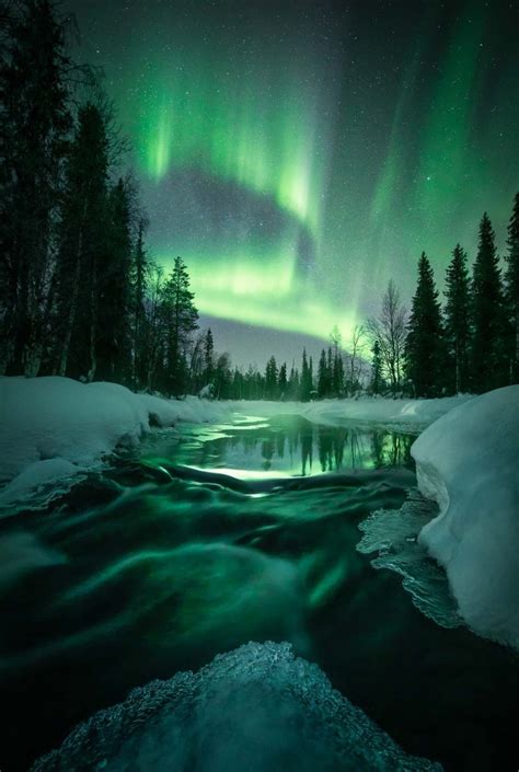 "Circle of Life" di Frøydis Dalheim. Lapponia, Finlandia. L’aurora ...