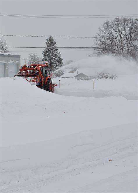 After Snow Storm Free Stock Photo - Public Domain Pictures