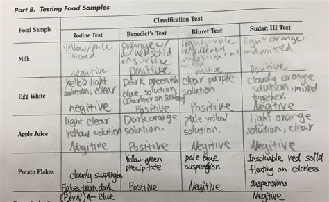 Food Testing Lab - Chemistry in food