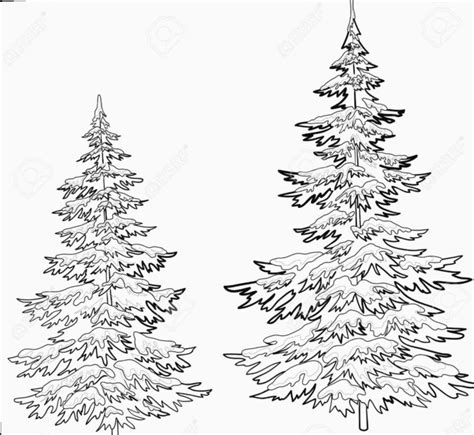 Realistic Christmas Tree Drawing Step By Step - EASY CUTE DRAWINGS