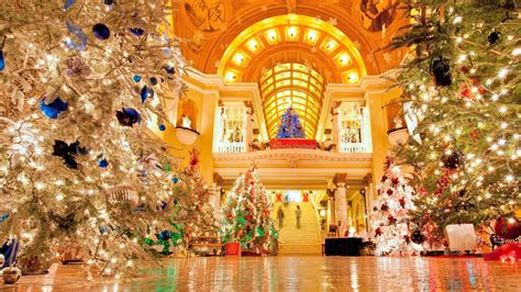 Best public Christmas trees to visit across the USA