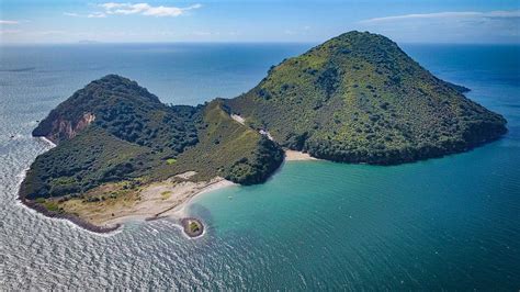 Moutohorā (Whale Island) Wildlife Management Reserve: Places to go in Bay of Plenty