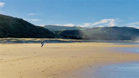 Most of the Napier beaches are unswimmable, but drive twenty minutes ...