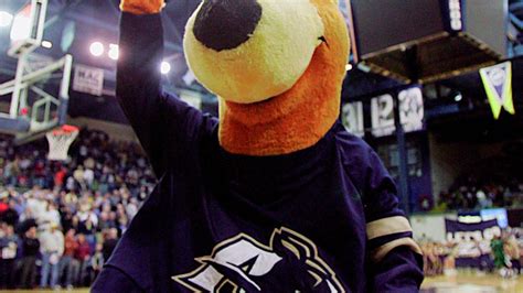 The best NCAA Tournament mascot is Akron's Zippy