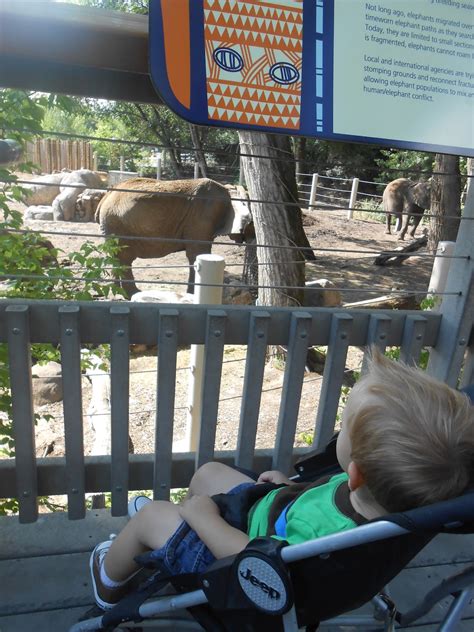 Klete, Tatum, Wyatt & Hudson: ZOO time in UTAH :)