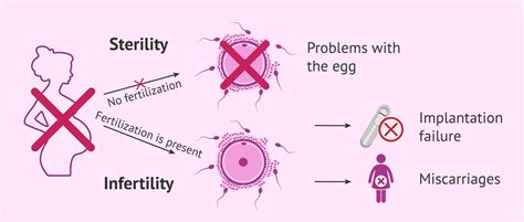 Infertility Causes Women