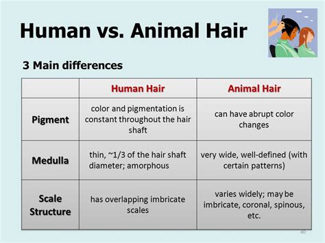 Human And Animal Hair - Similarities, 4 Functions, And 3 Differences ...