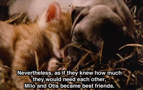 milo and otis on Tumblr