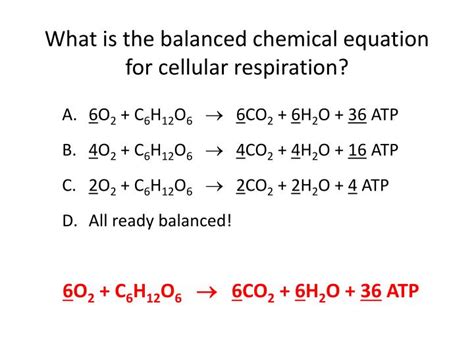 Balanced Chemical Equation For Cell Respiration - Tessshebaylo