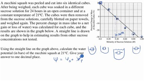 Water potential worked example - YouTube