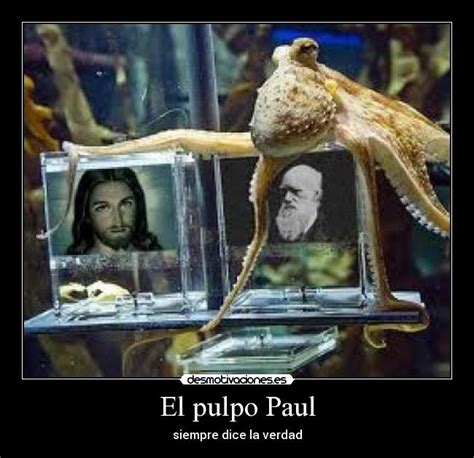 El pulpo Paul | Desmotivaciones