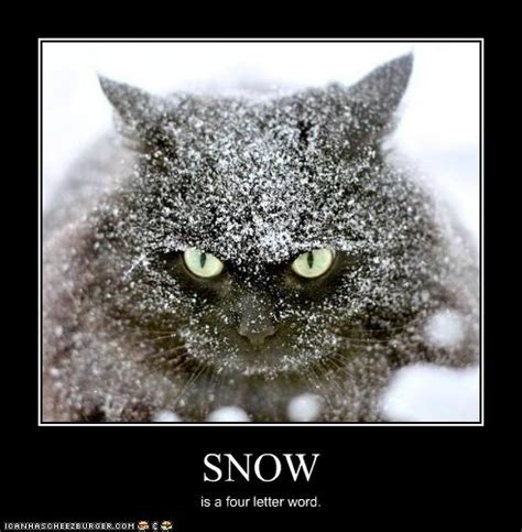 Snow Day Funny Quotes. QuotesGram