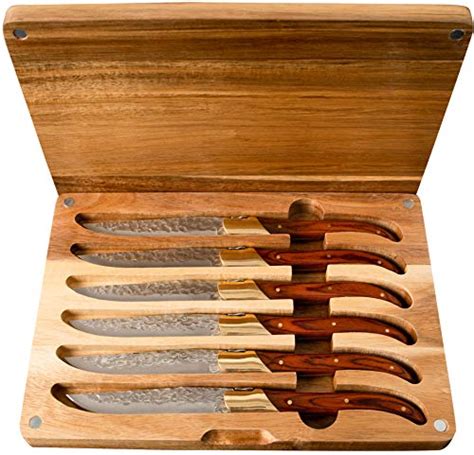 7 Best Japanese Steak Knives [2022]