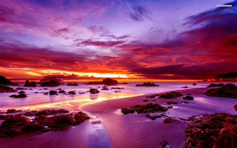 Purple Sunset on Rocky Beach wallpaper | nature and landscape ...