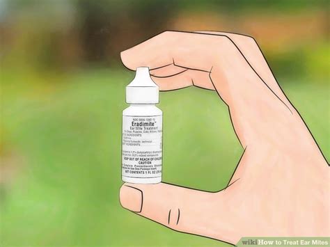 How to Treat Ear Mites: 12 Steps (with Pictures) - wikiHow