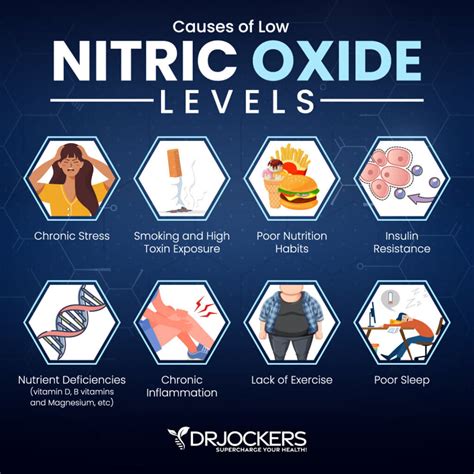 Nitric Oxide Benefits and How to Increase Levels - DrJockers.com