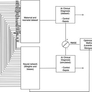 (PDF) Article 525 and Irles C (2020) Neonatal Sepsis Diagnosis Decision-Making Based on