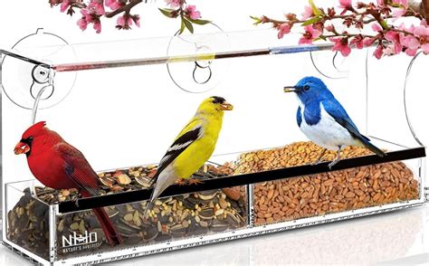 Clear Window Bird Feeder: An In-Depth Review & User Experience