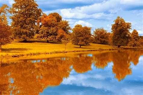 Brown tree, reflection, fall, lake, landscape HD wallpaper | Wallpaper Flare