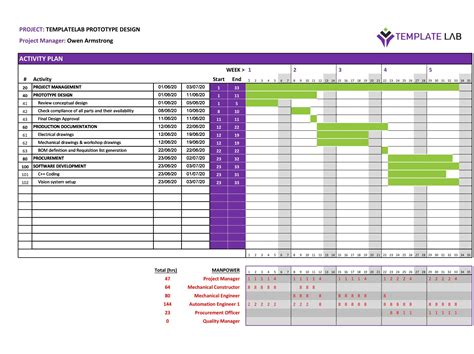 MS Project Gantt Chart Template