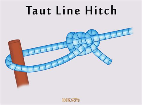 How to Tie a Taut Line Hitch? Tips, Steps & Video Instructions