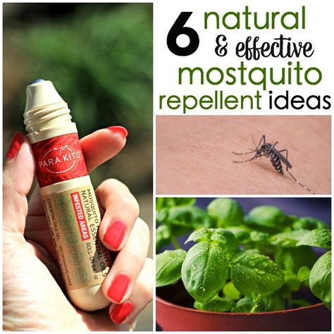 6 Natural Mosquito Repellent Ideas