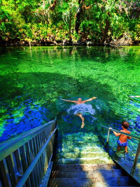 Best Manatee Encounters at Florida's Fantastic Blue Spring State Park | Cool places to visit ...