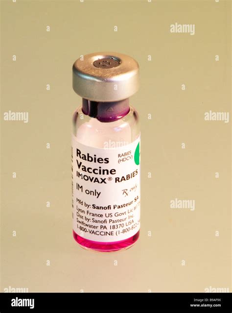 Rabies vaccine hi-res stock photography and images - Alamy