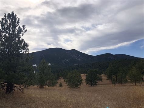 Burro Loop Trail - Colorado | AllTrails