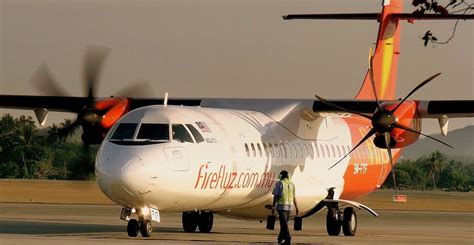 firefly Reviews and Flights (with pictures) - Tripadvisor