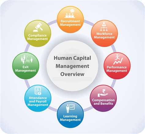 What is Human Capital Management? - India Dictionary