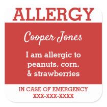 Allergy Alert Stickers - Lil Allergy Advocates