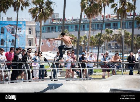 Young skateboarder at the skatepark on world famous Venice Beach ...