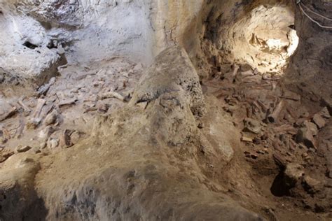 Neanderthal remains from 100,000 years ago discovered in Italian cave