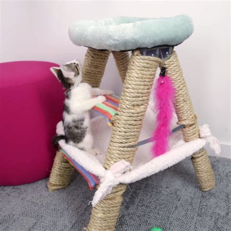 This cat jungle gym will have your feline on cloud nine – Artofit