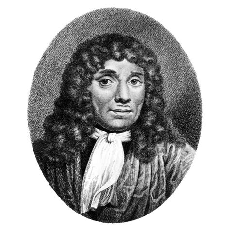 Anton Van Leeuwenhoek N(1632-1723) Dutch Naturalist Line And Stipple ...