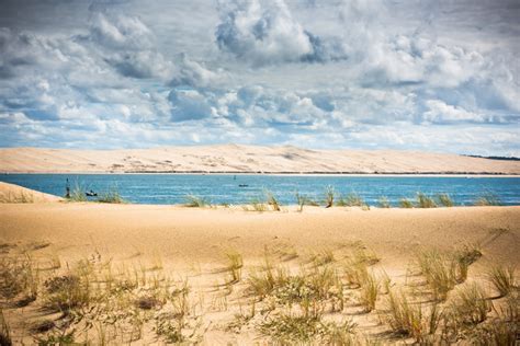 The importance of sand dunes to the coastline