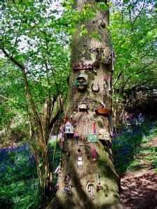 THE FAERIE TREE: A Book In The Making | Frost Magazine