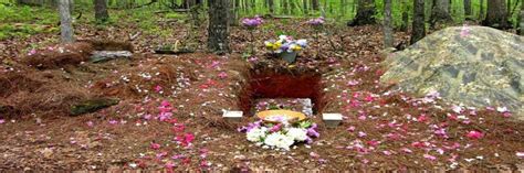 Funeral Director Argues That Natural Burial Is Harmful To The Environment – Groovy Green