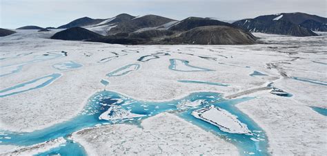 Milne Ice Shelf Ecosystem, We Hardly Knew Ye | Hakai Magazine