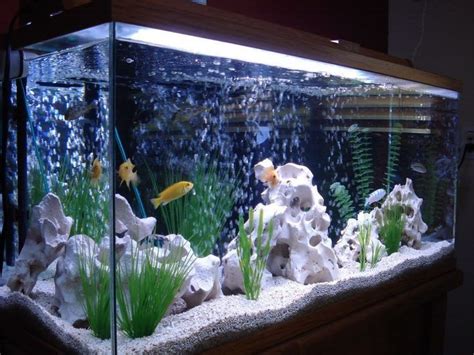 Home Aquarium Decorating Ideas | Wall Mounted Aquarium Room Divider Design | Fish Tank Setup ...