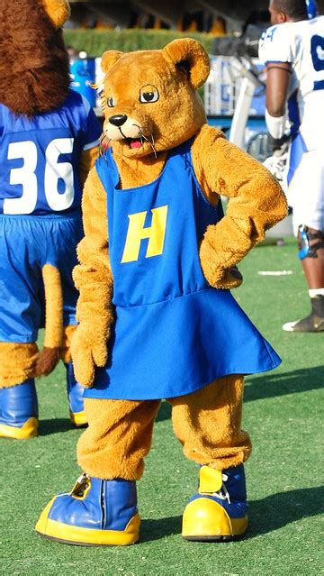 Hofstra team mascot | Flickr - Photo Sharing!