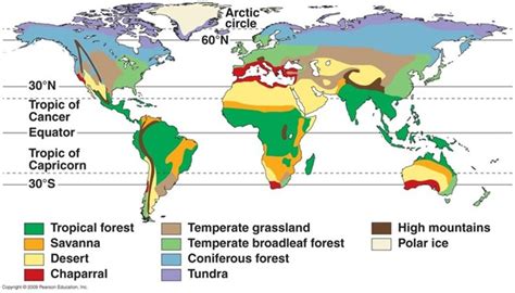 Terrestrial Biomes Study Guide - Inspirit