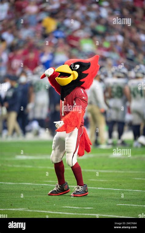 Arizona Cardinals mascot Big Red while playing the Seattle Seahawks during an NFL Professional ...