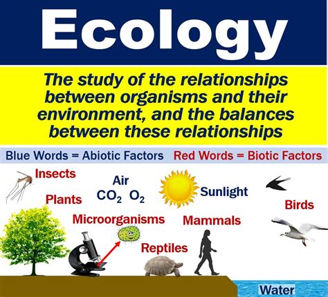 What is ecology? Definition and examples - Market Business News