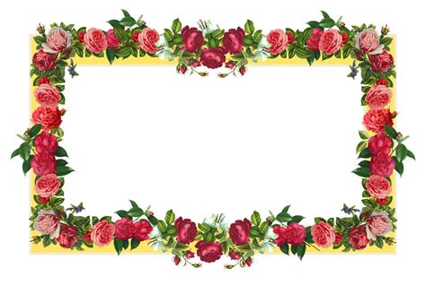 Flowers Borders PNG Transparent Images - PNG All