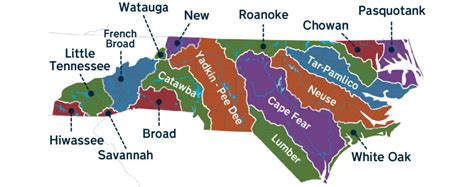 Our Curious Coast: Rivers and Wetlands - North Carolina State Climate Office