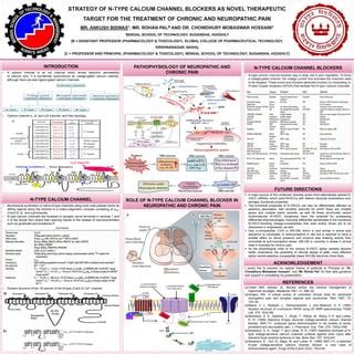 STRATEGY OF N-TYPE CALCIUM CHANNEL BLOCKERS AS NOVEL THERAPEUTIC TARGET ...